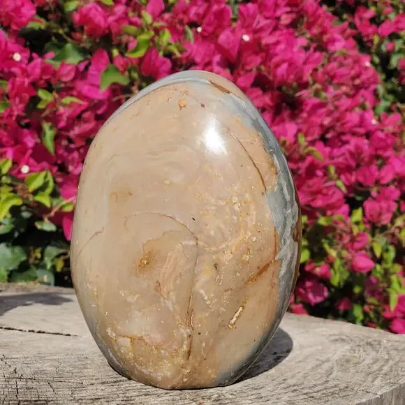 4lbs+ Polychrome Jasper Crystal Freeform Standing2030 Grams4lbs 8oz